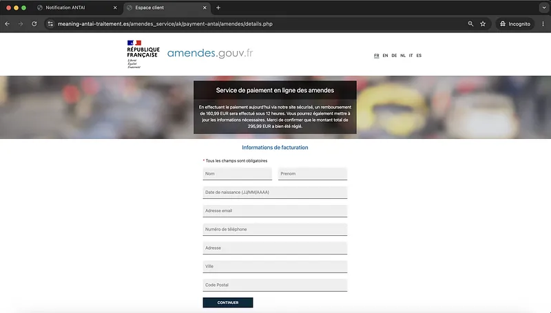 Screenshot Phishing Landing Page Information Haversting