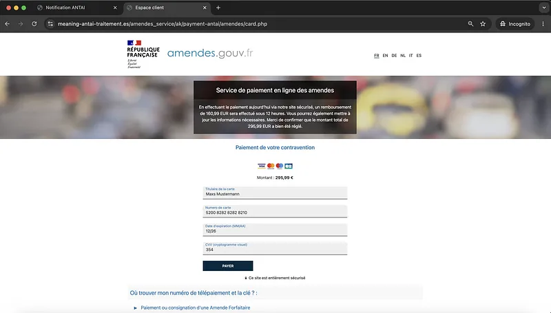 Screenshot Phishing Landing Page Credit Card Details Request