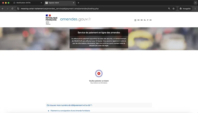 Screenshot Phishing Landing Page Processing