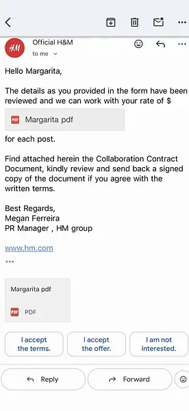 Mail Phishing Influencer Scam Screenshot