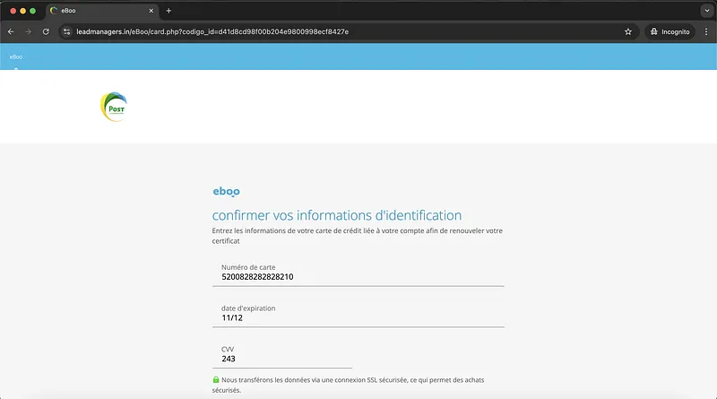 Eboo Visa Credentials Request Screenshot